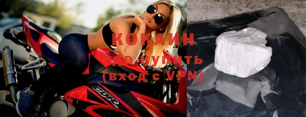 дживик Верхний Тагил