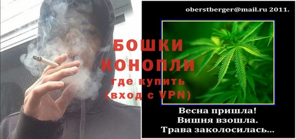 дживик Верхний Тагил