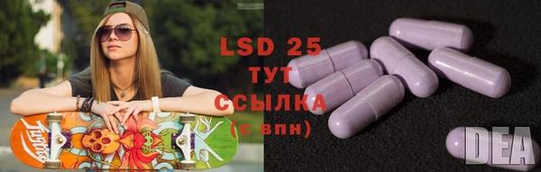 дживик Верхний Тагил