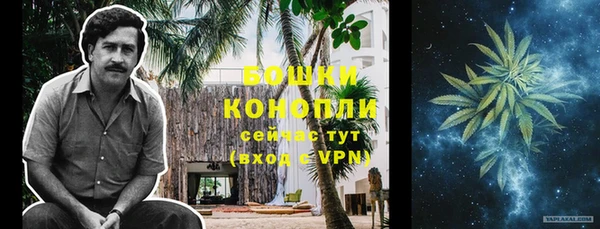 дживик Верхний Тагил