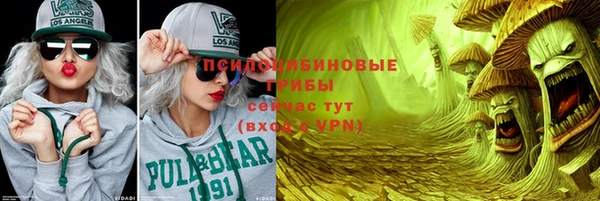 дживик Верхний Тагил