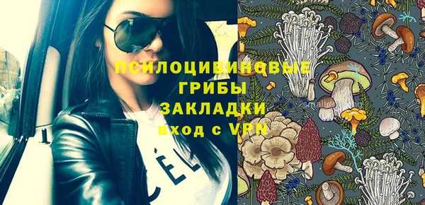 дживик Верхний Тагил