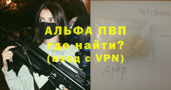 дживик Верхний Тагил